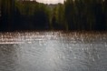 /album/gallery-half-second/pul-vteriny-web7-jpg2/